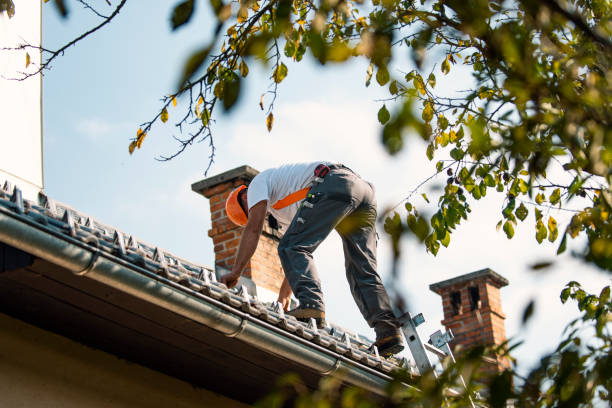 Professional Roofing Contractor in Poydras, LA