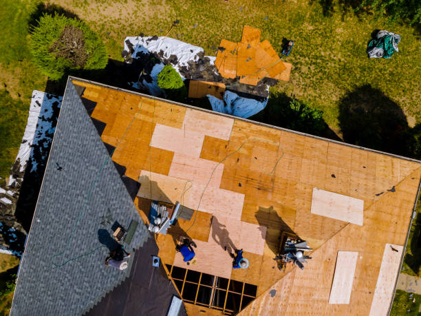 Best Metal Roofing Contractor  in Poydras, LA