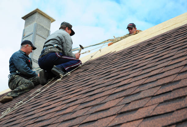 Best Roof Gutter Cleaning  in Poydras, LA